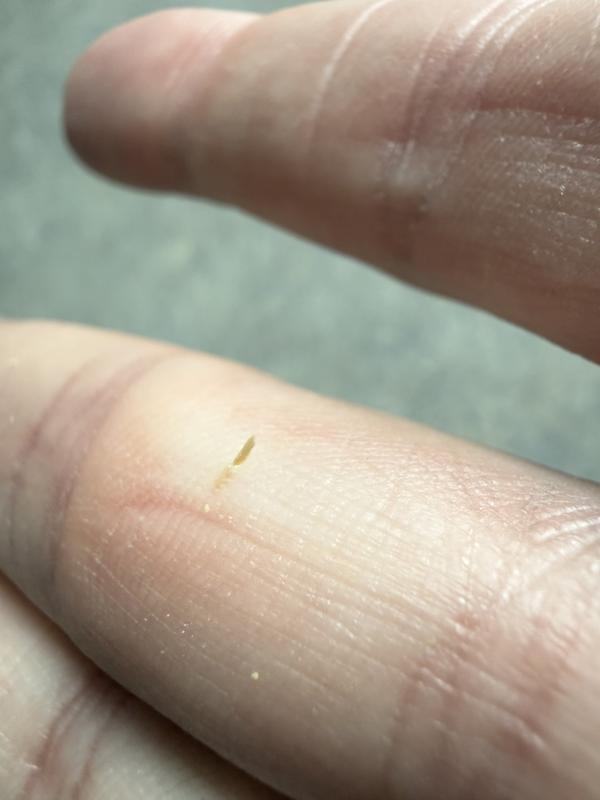 Photo - commentaire&nbsp;3.