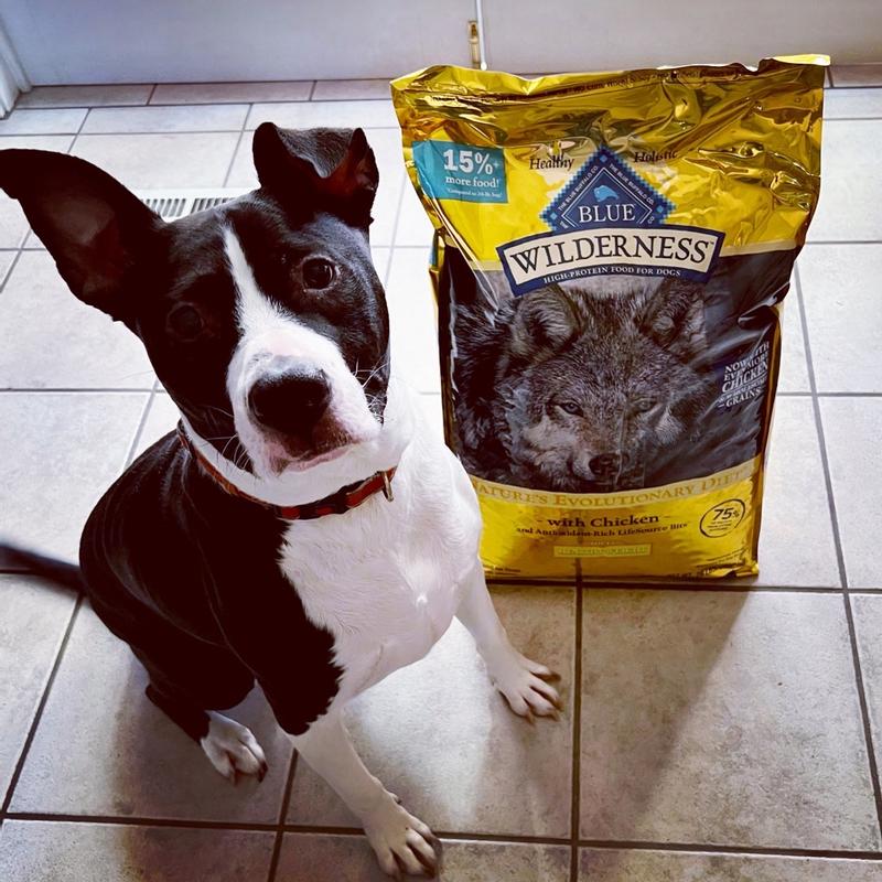 Healthy Weight Blue Dog Food Reviews Blue Buffalo Wilderness High
