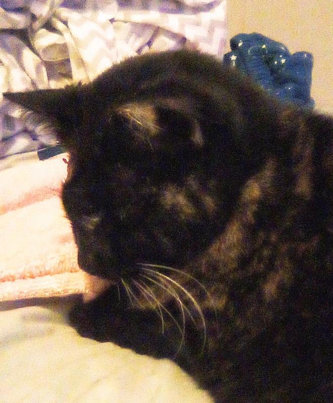LaFawnduh is now at peace. We miss her SO much.