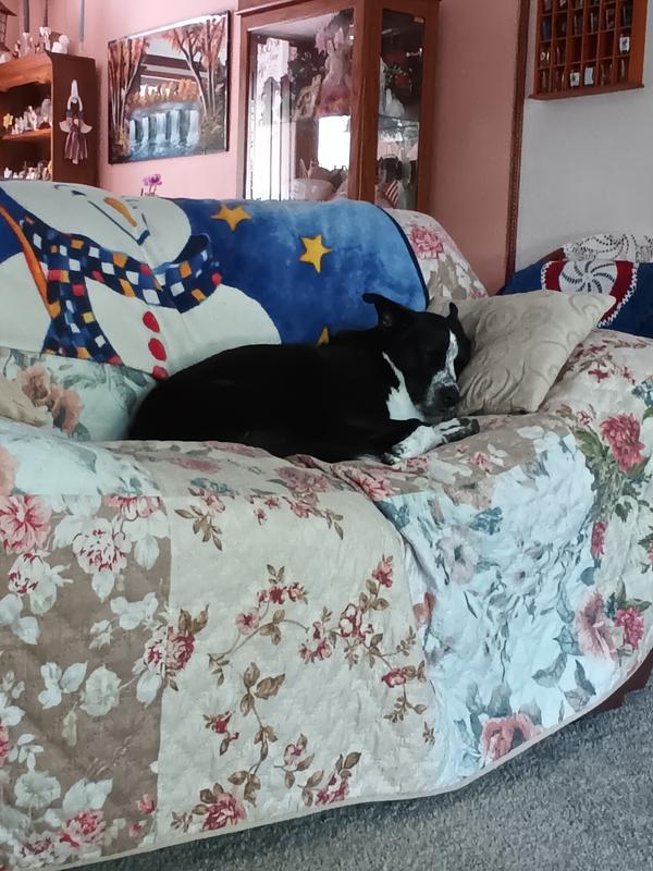 My "Barka Lounger"!!