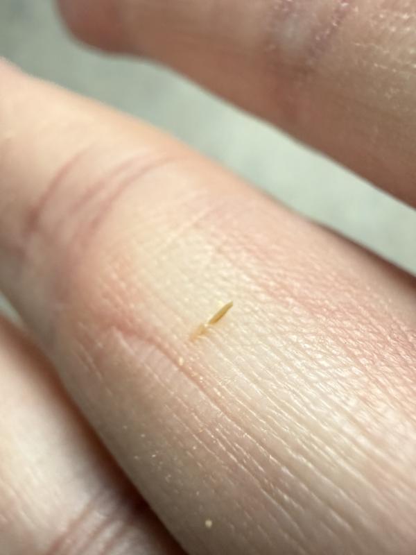 Photo - commentaire&nbsp;2.