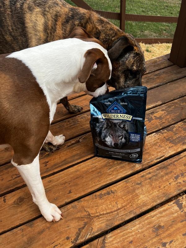 Blue Buffalo Wilderness High Protein Natural Adult Dry Dog Food