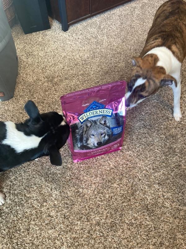 Blue nature dog clearance food