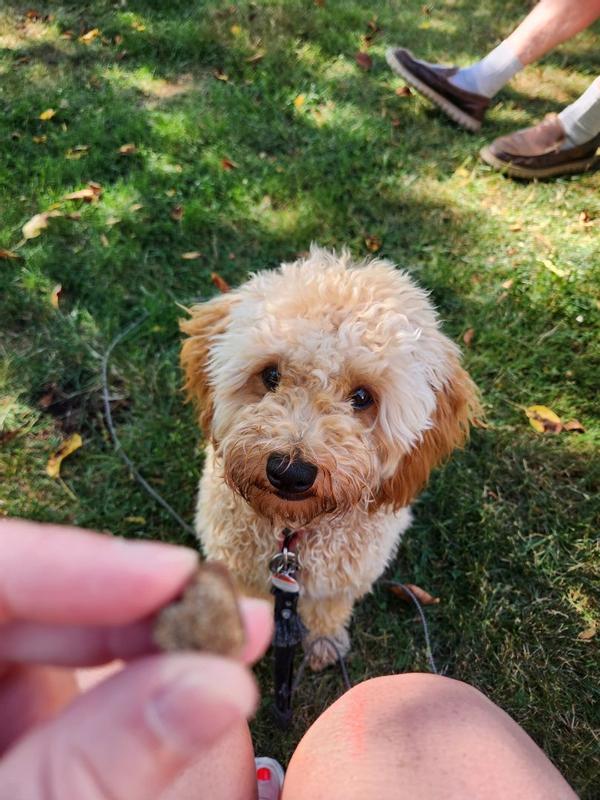 Photo - commentaire 3.