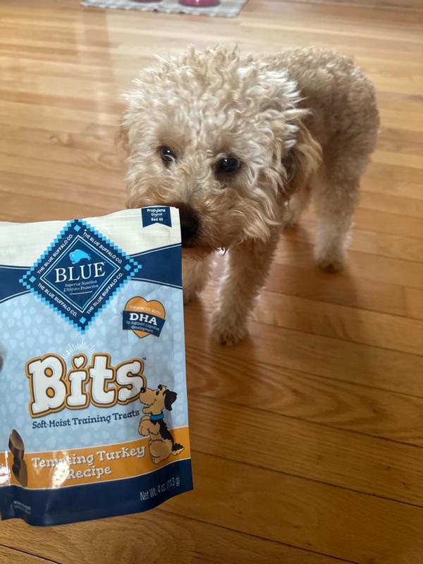 Photo - commentaire 4.