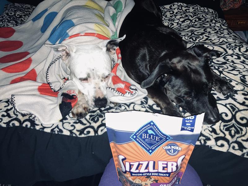 Blue sizzlers best sale dog treats