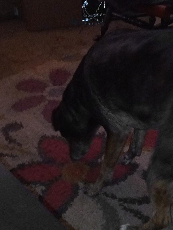 My Lila
