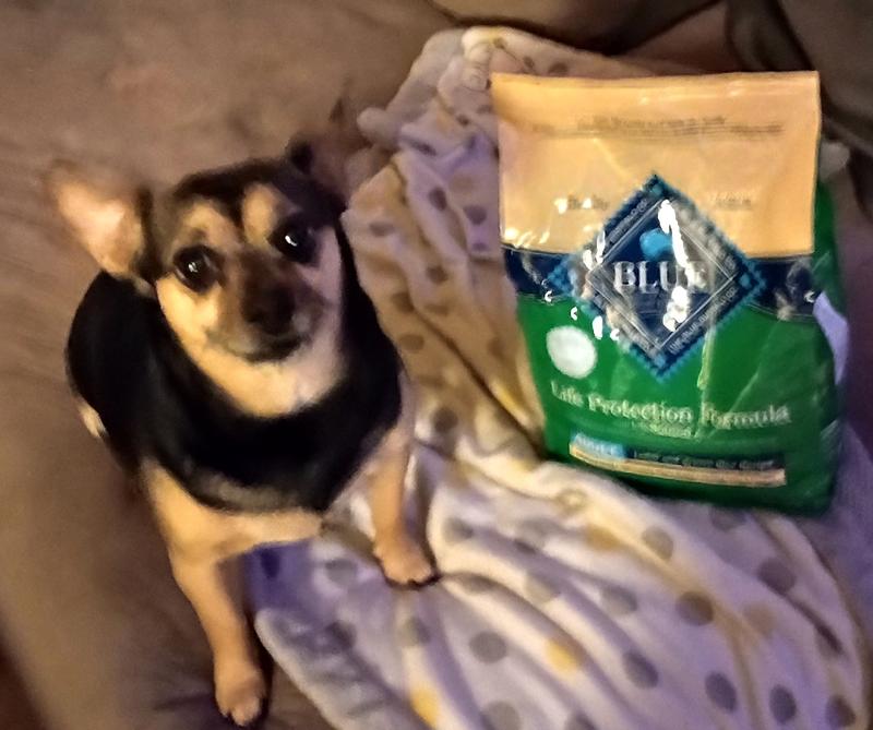 Pet supplies plus blue buffalo dog food best sale