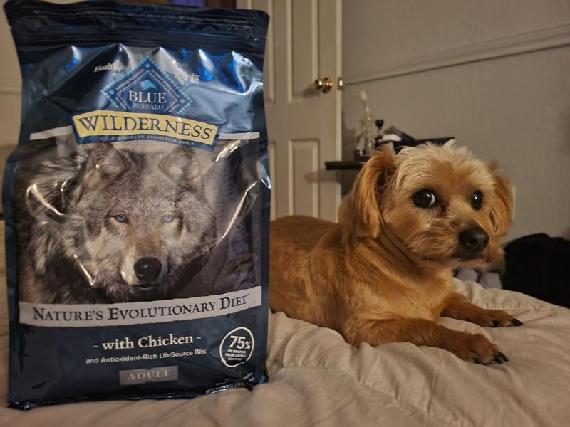 Blue Buffalo Wilderness High Protein Natural Adult Dry Dog Food