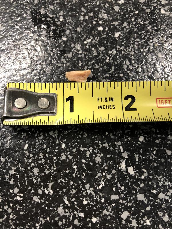 Large bone fragment