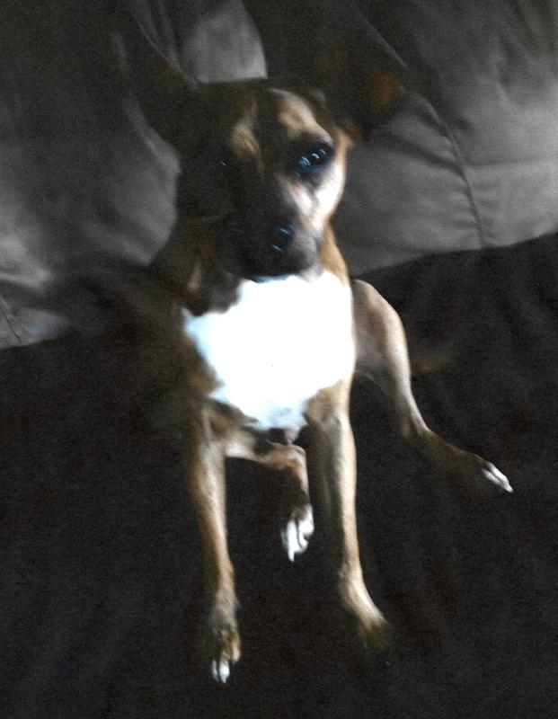 Photo - commentaire 1.