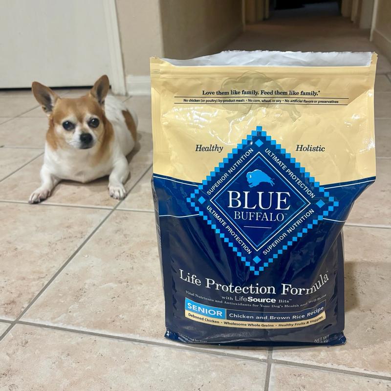 Blue Buffalo Life Protection Formula Natural Senior Dry Dog Food