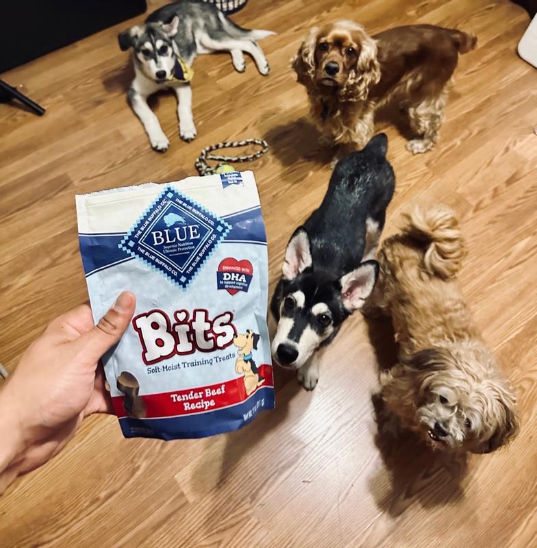 Blue buffalo dog outlet treats review