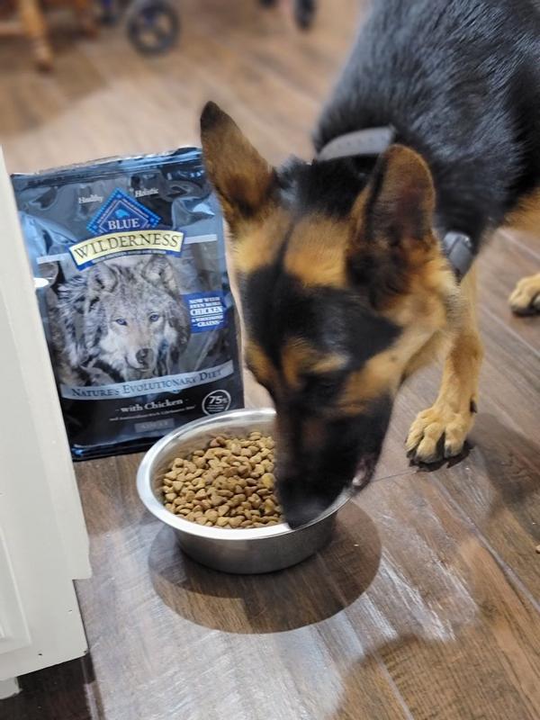 Blue buffalo on sale dog food meijer