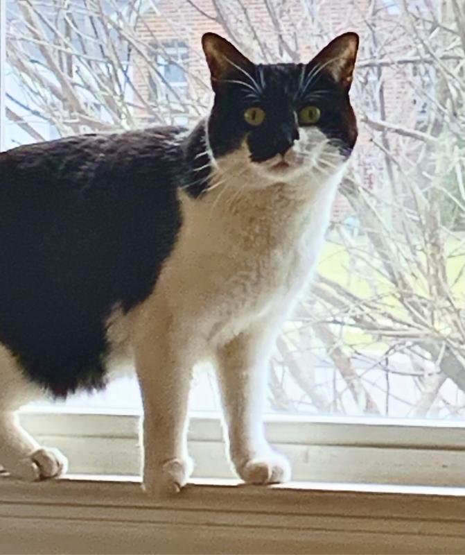 Gertrude