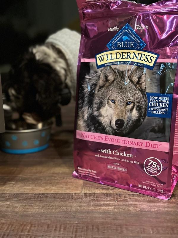 Wilderness brand dog clearance food