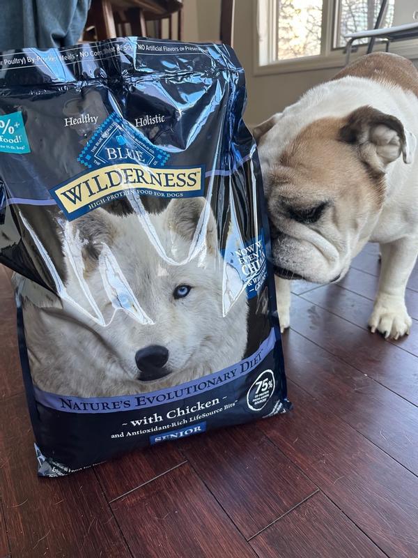 Blue Buffalo Wilderness Senior High Protein Dry Dog Food Wholesome