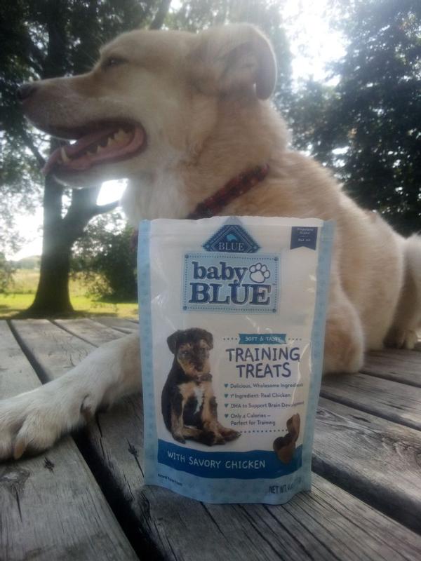 Baby BLUE Puppy Training Treats Blue Buffalo