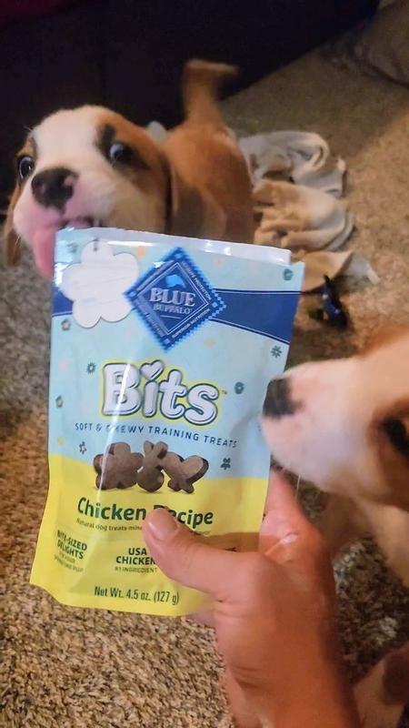 Issues with blue buffalo dog food sale