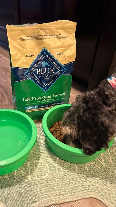 Blue buffalo limited ingredient dog food reviews best sale