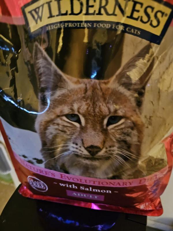 Blue mountain cat food reviews best sale