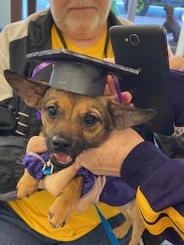 Treats for our Graduate!