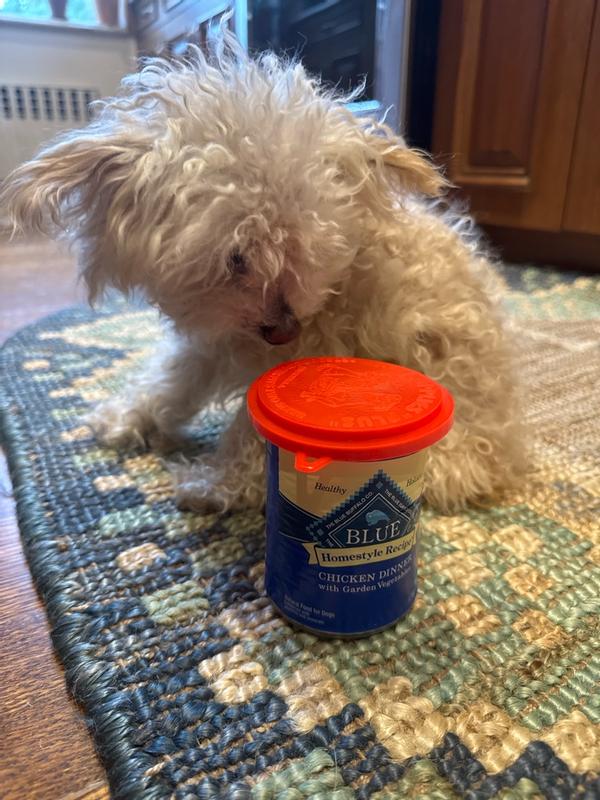 Photo - commentaire 7.