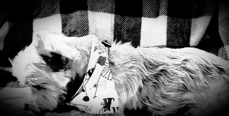 Max enjoying his biscuit!