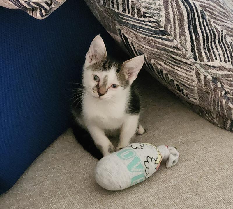 Sammy loves Baby Blue!