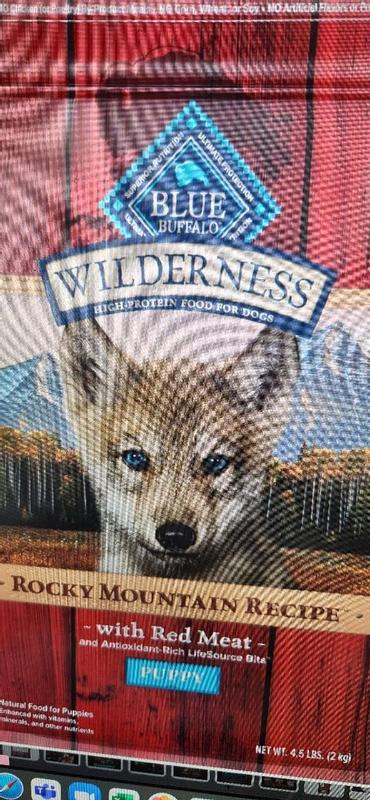 Blue wilderness rocky 2025 mountain recipe puppy review