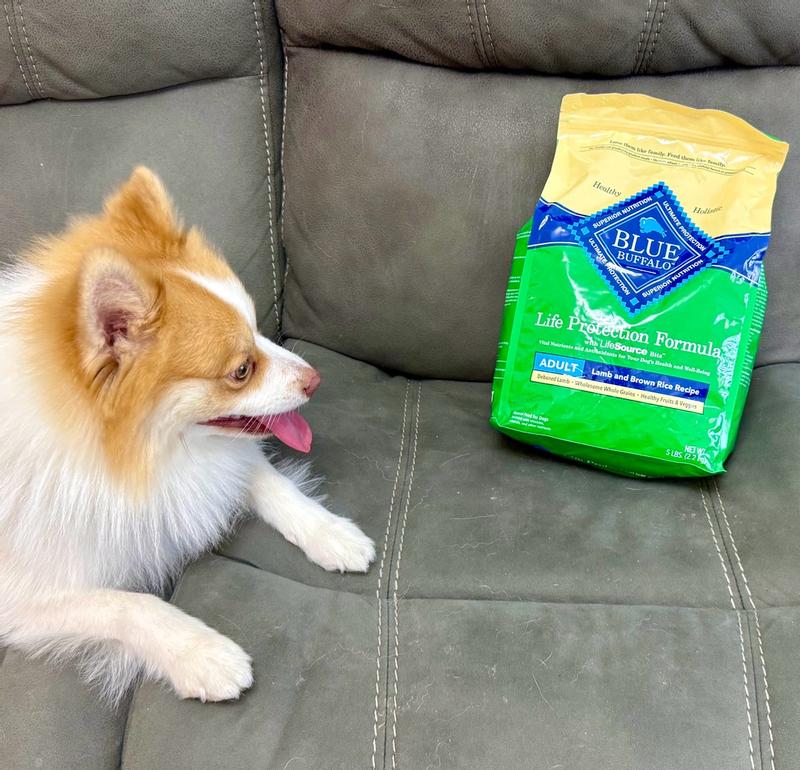 breeders bag fromm fold adult dry dog food Fromm Gold Dog Food, Large Breed, Adult, 30lb – Little Stinkers