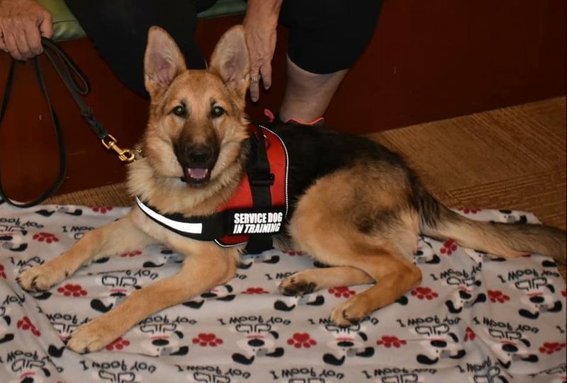 Photo - commentaire 4.