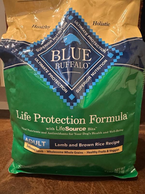 Photo - commentaire 1.