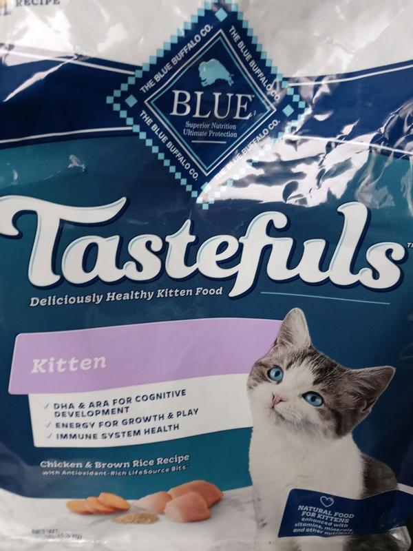 Blue buffalo outlet cat food kitten