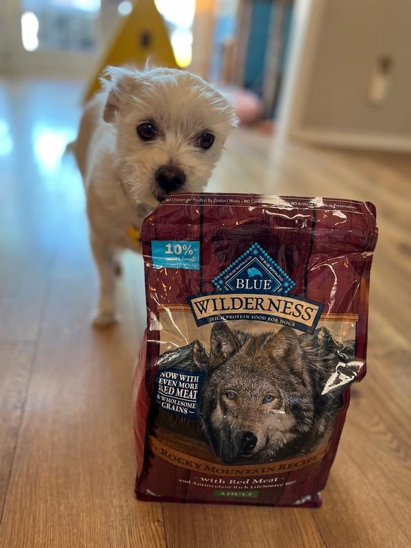 Blue wilderness rocky outlet mountain recipe puppy review