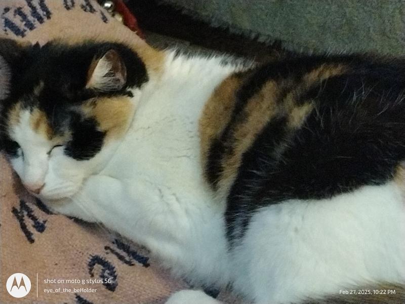 Happy Munchkin sleeping with a full tummy. 💖