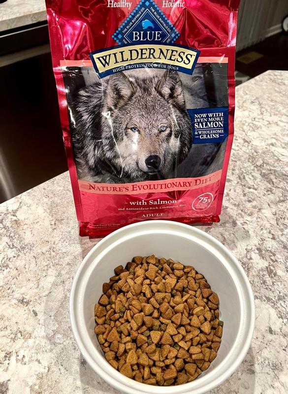 Blue buffalo wilderness salmon dog outlet food