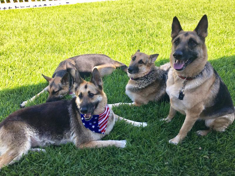 Waiting for their Nudges.