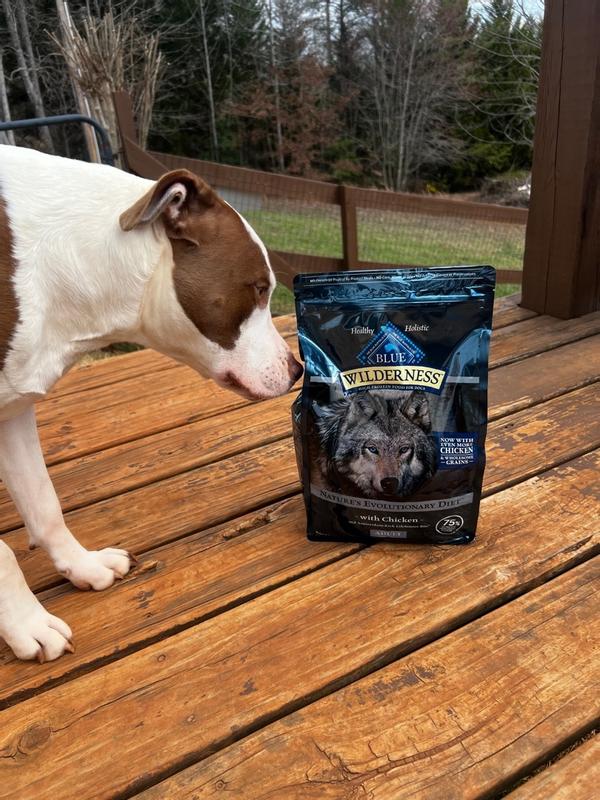 Blue Buffalo Wilderness High Protein Natural Adult Dry Dog Food