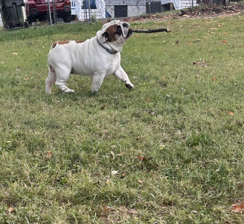 Photo - commentaire 4.