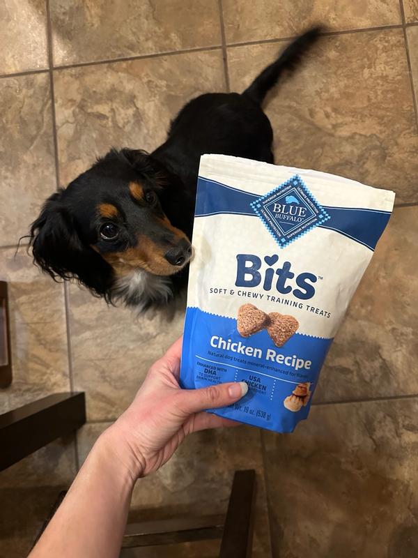 Photo - commentaire 1.