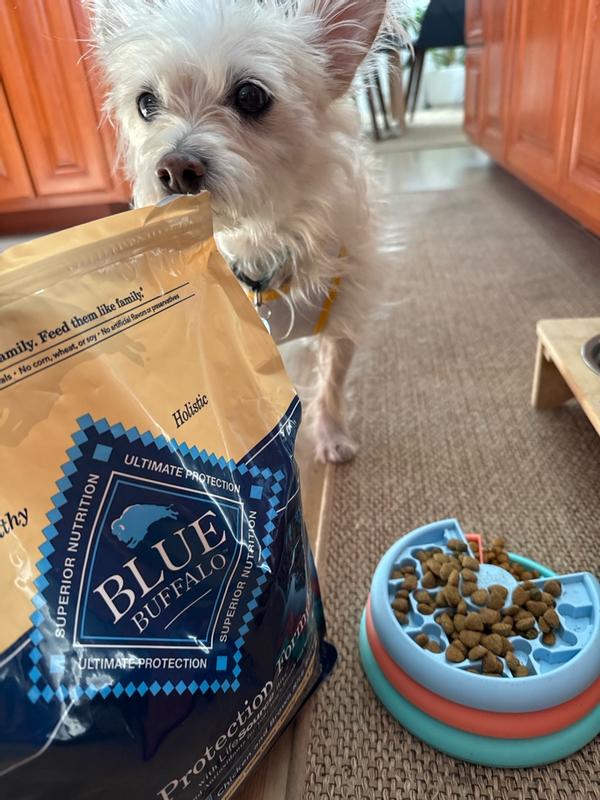 Blue Buffalo Life Protection Formula Chicken Brown Rice Recipe