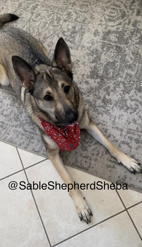 My dog loves these treats