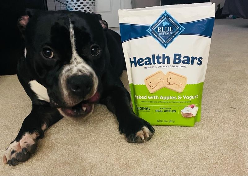 BLUE Health Bars with Apples Yogurt Dog Biscuits