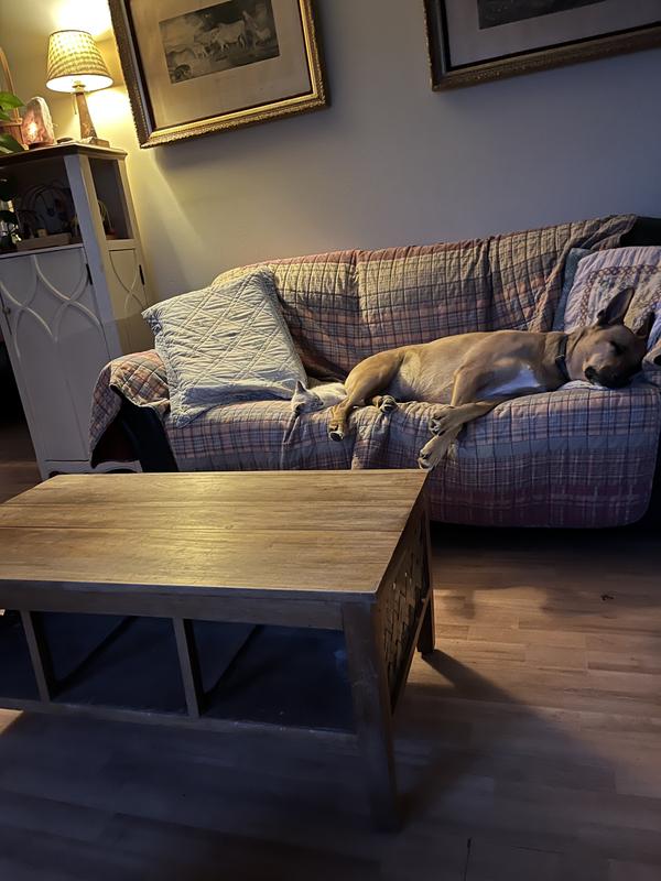 Photo - commentaire 8.