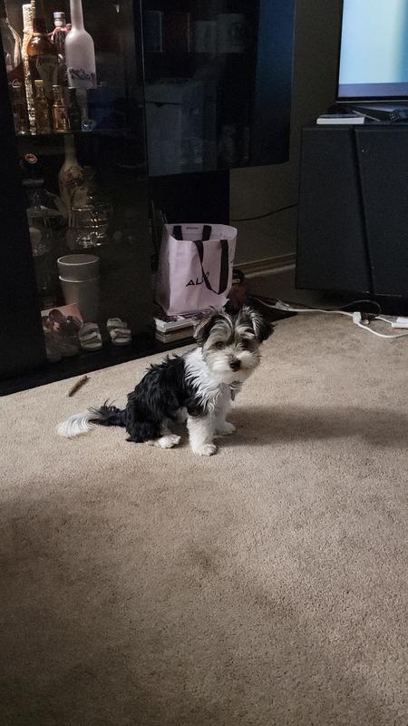 Photo - commentaire&nbsp;2.