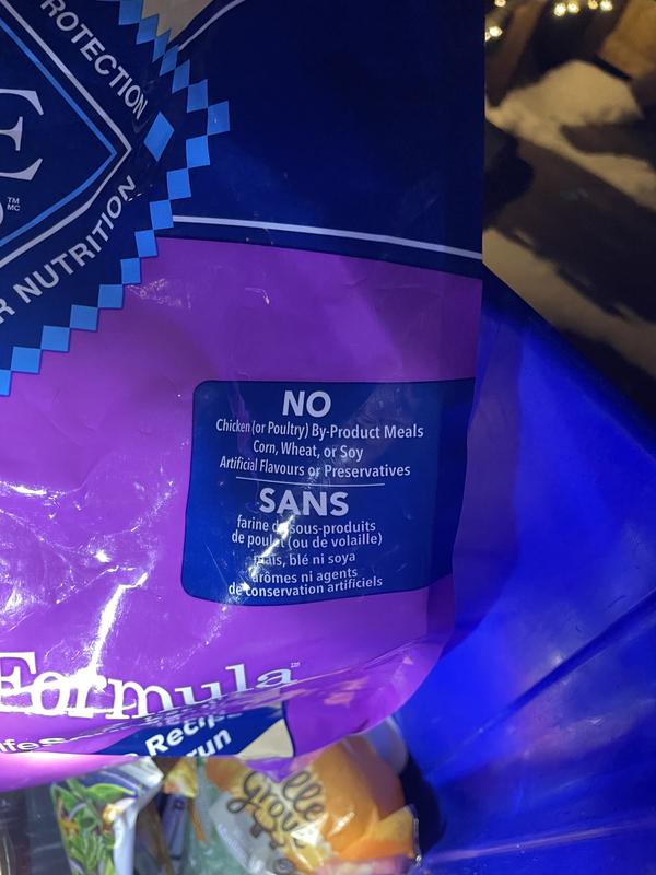 Photo - commentaire 1.