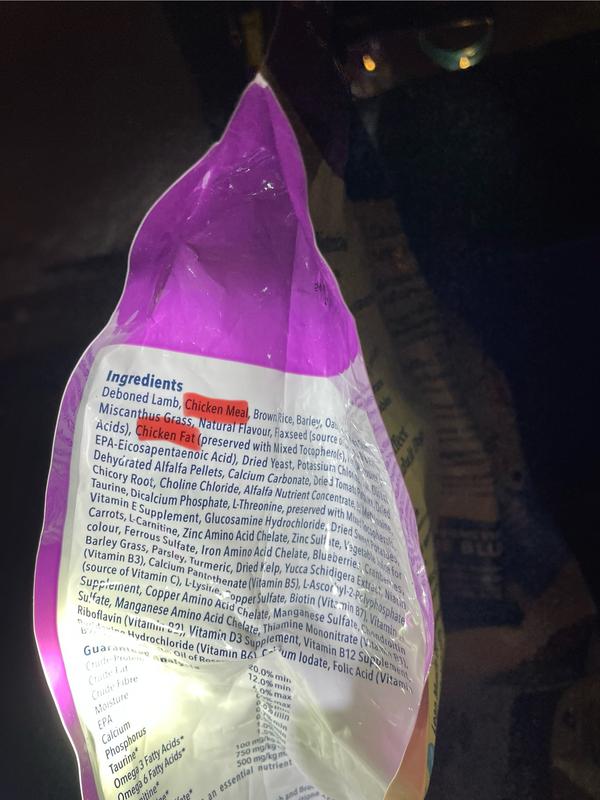 Photo - commentaire 2.