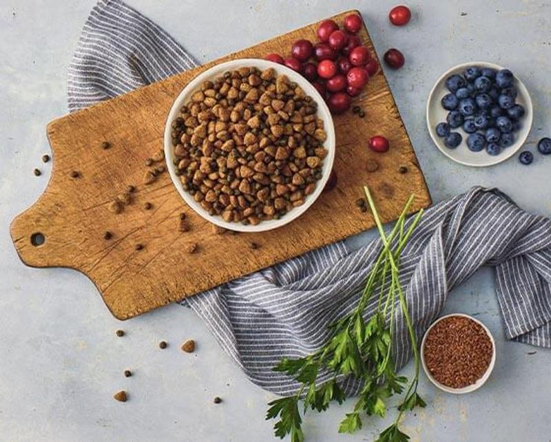 Kibble size showing tiny kibble mixed with larger. (photo from their website)