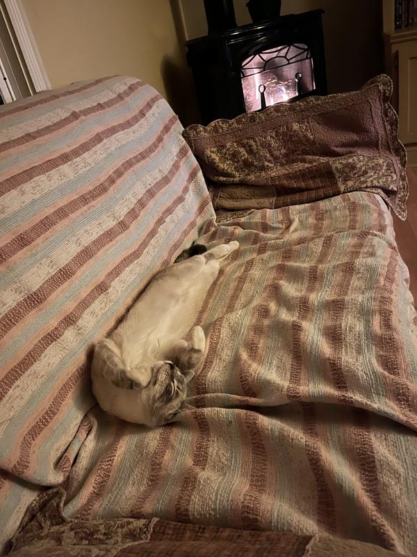 Photo - commentaire 3.